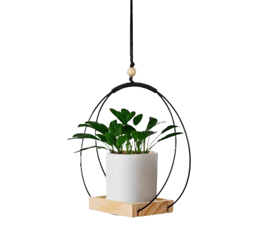 Nesta Wall & Desk Planter
