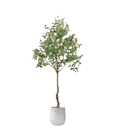 Artificial Olive Tree, 6 ft