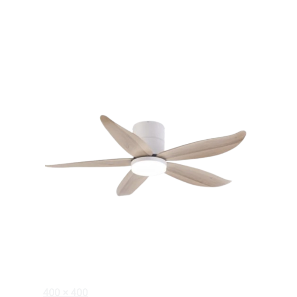 Rito 48”5 Blade DC Ceiling Fan with LED