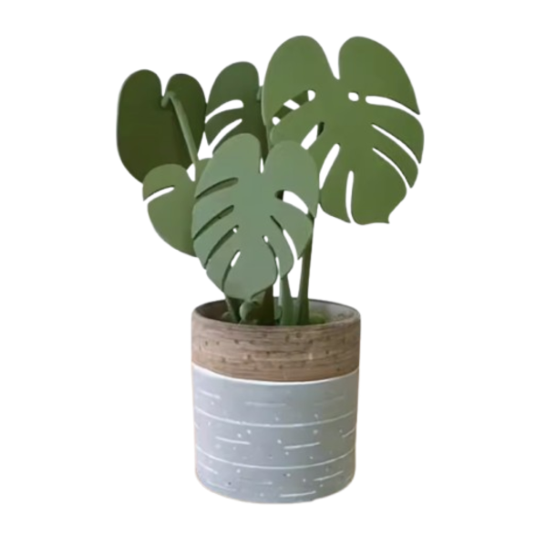 Magnetic Coaster Plant