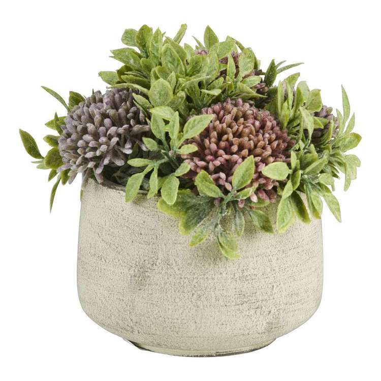 Bolocephalus Pot Mauve, 13x17cm