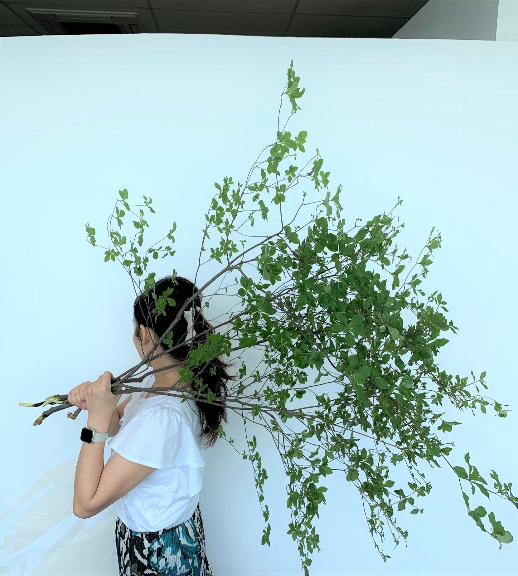 Enkianthus Perulatus Dodan 90Cm To 100Cm_5S