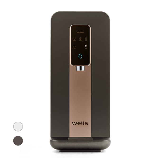 Wells True Tankless UV+