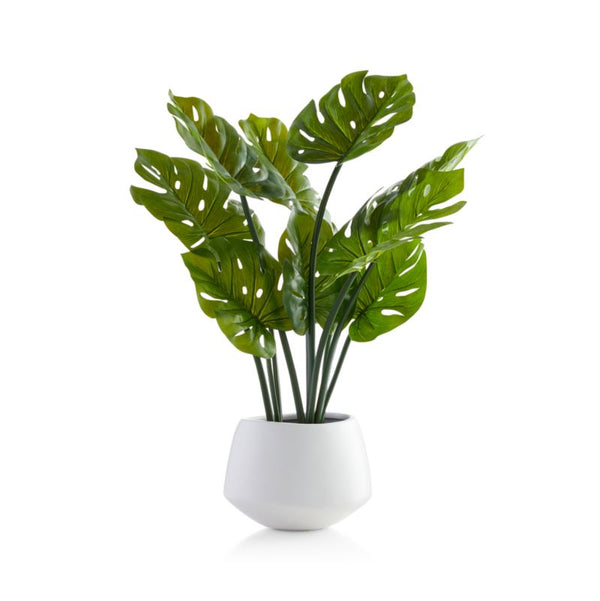 Faux Potted Monstera