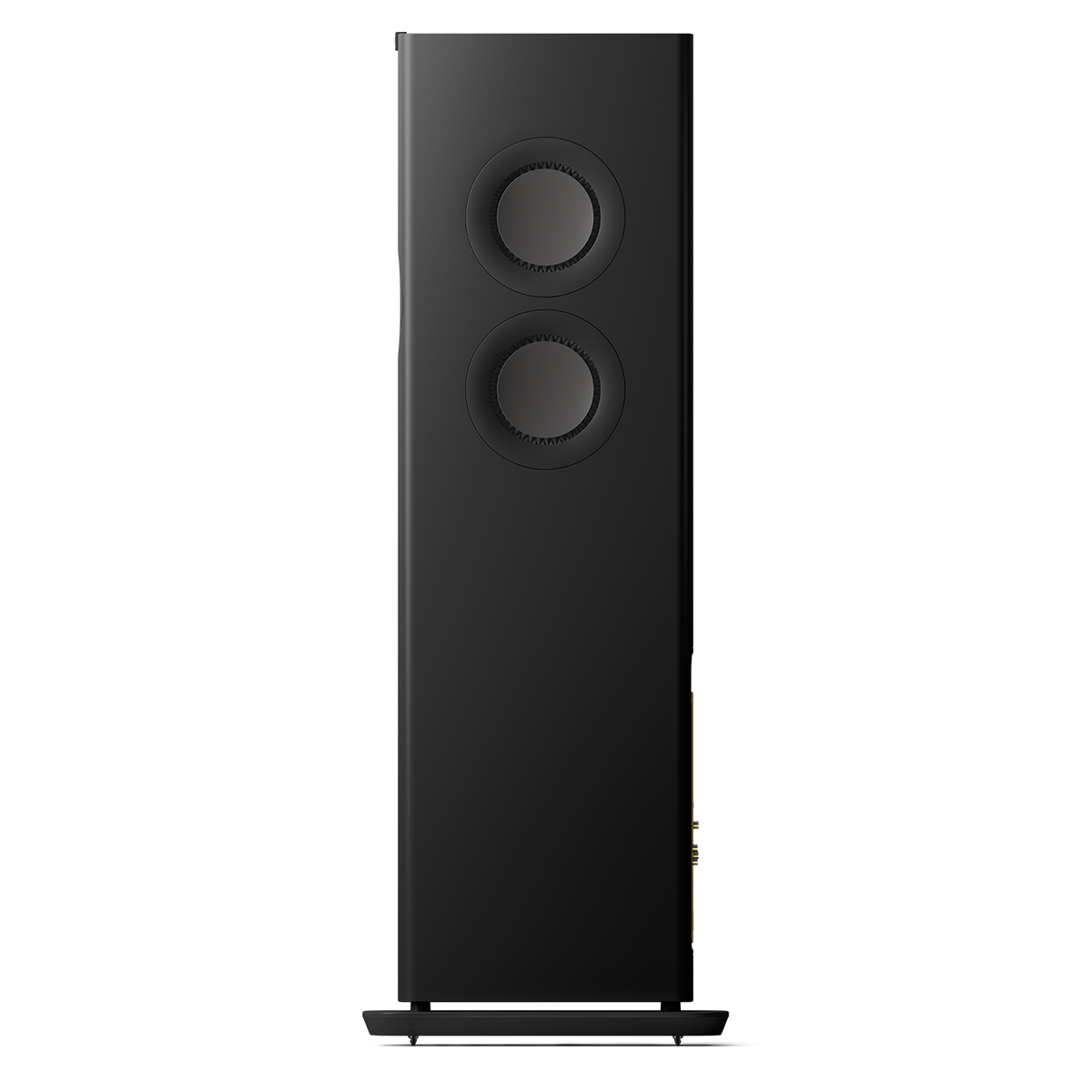 LS60 wireless HiFi speaker